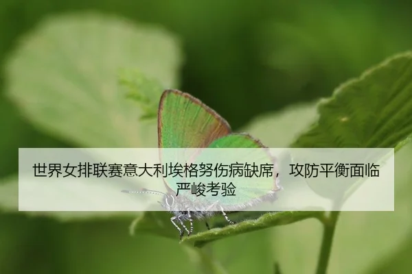 shi-jie-nv-pai-lian-sai-yi-da-li-ai-ge-nu-shang-bing-que-xi-gong-fang-ping-heng-mian-lin-yan-jun-kao-yan-3-961.jpg