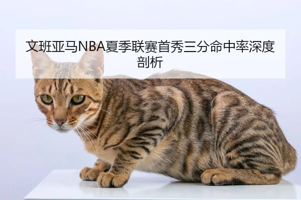 文班亚马NBA夏季联赛首秀三分命中率深度剖析