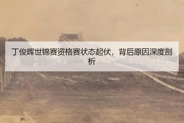 ding-jun-hui-shi-jin-sai-zi-ge-sai-zhuang-tai-qi-fu-bei-hou-yuan-yin-shen-du-pou-xi-3-267.jpg