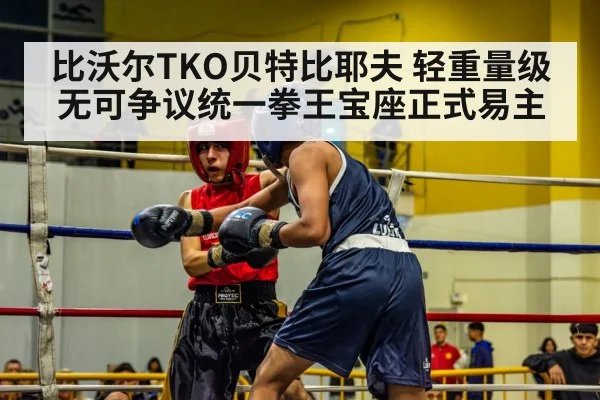 比沃尔TKO贝特比耶夫 轻重量级无可争议统一拳王宝座正式易主