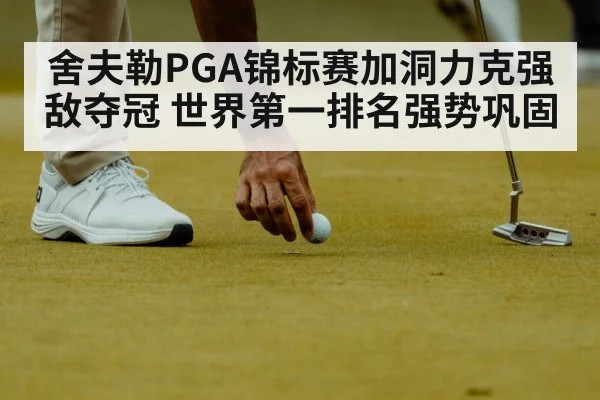 舍夫勒PGA锦标赛加洞力克强敌夺冠 世界第一排名强势巩固